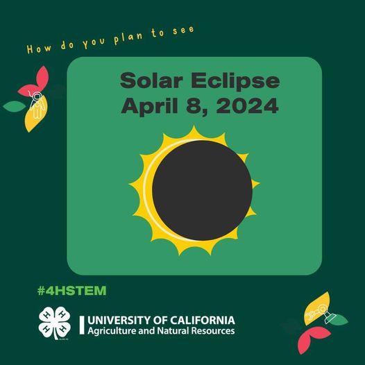 How do you plan to see Solar Eclipse, April 8, 2024