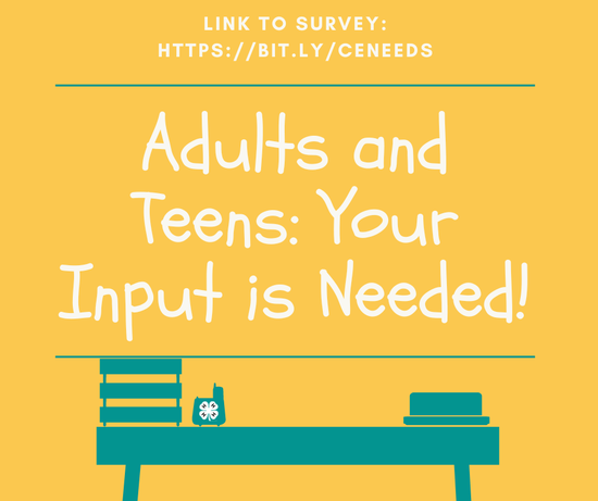 Adults and Teens: Your Input is Needed!