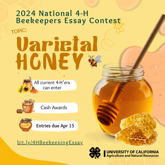 2024 National 4-H Beekeepers Essay Contest. Topic: Varietal Honey. All current 4-Hers can enter. Cash awards. Entries due Apr 15