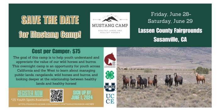Mustang Camp