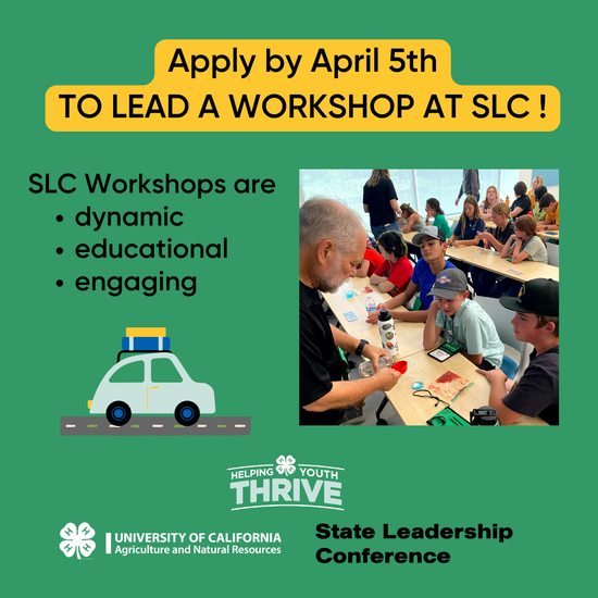 Apply by April 5th to lead a workshop at SLC. SLC Workshops are dynamic, educational, engaging