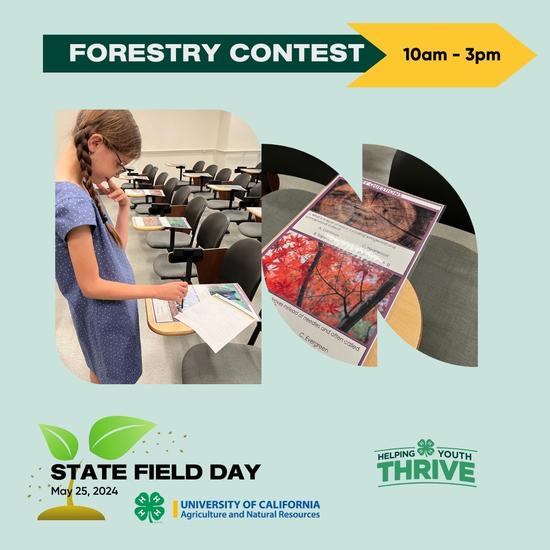 Forestry contest 10am-3pm