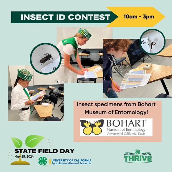 Insect ID Contest 10am-3pm. Insect specimens from Bohart Museum of Entomology.