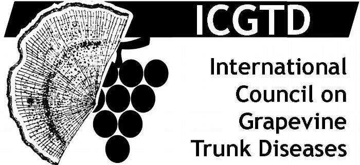 ICGTD Logo e testo OK.indd