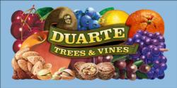 Duarte Trees and Vines