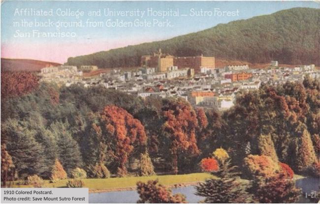 Postcard Mount Sutro 1910