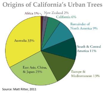 Origins of California's Urban Trees