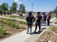 UCCE Kern County trains 18 community agencies to develop and sustain community gardens, promoting community health and wellness