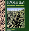 Black Bean Production in California cover thumbnail