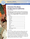Common Dry Bean Production in California (PDF)