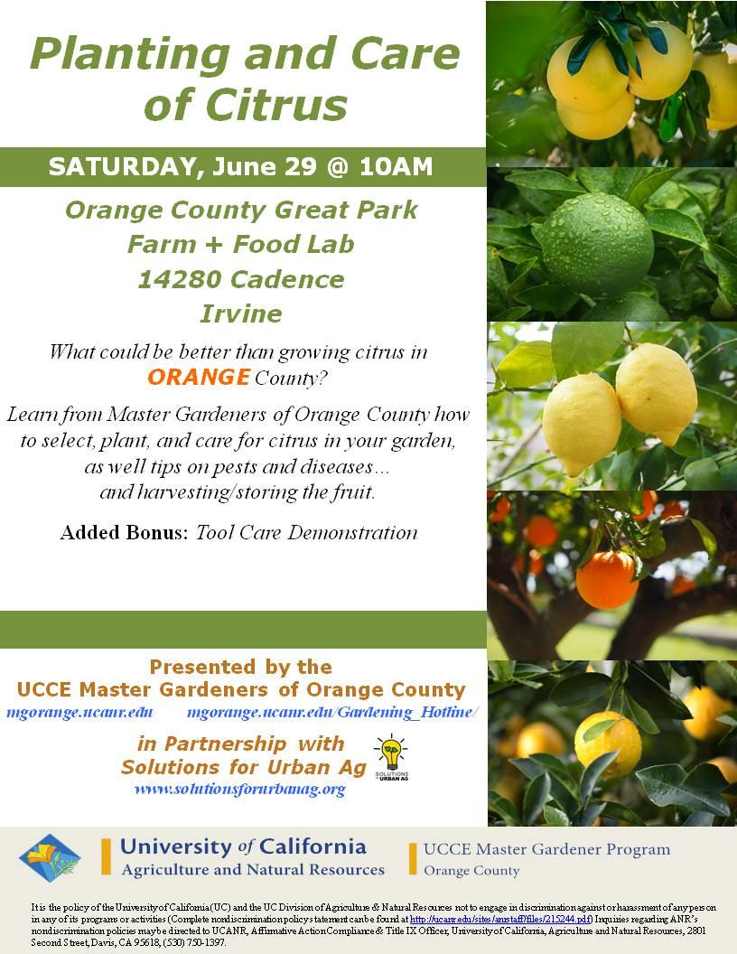 Citrus farm and food