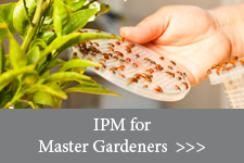 IPM for Master Gardener Volunteers