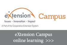 eXtension Campus online learning