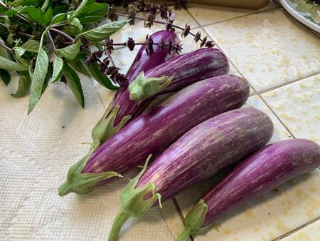 Fairy Tale eggplant (see Group 3) and thai basil harvested in Chino Hills, Calif. Photo credit: Donna Palmer