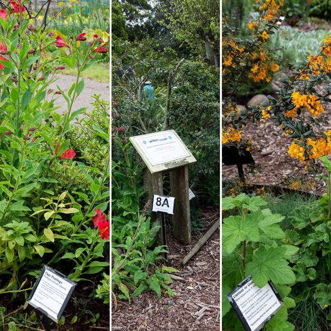 Station 8 - Outstanding Plants April 2019