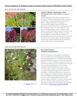 2019 Plants of the Month_Page_3