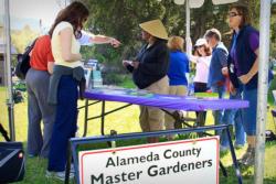 A Master Gardener Plant Doctor Booth at a Community Event