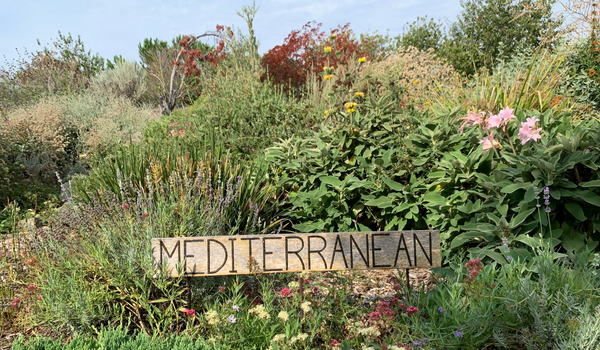 Mediterranean Garden
