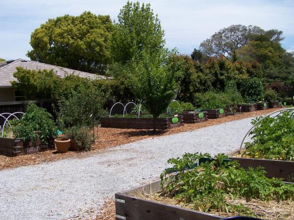 Hillsborough Harvest Garden raised vegetable beds