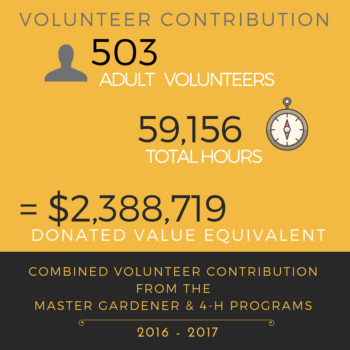 volunteer graphic