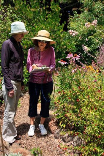 A Bay-Friendly Garden Walk offers pointers for reducing water use.