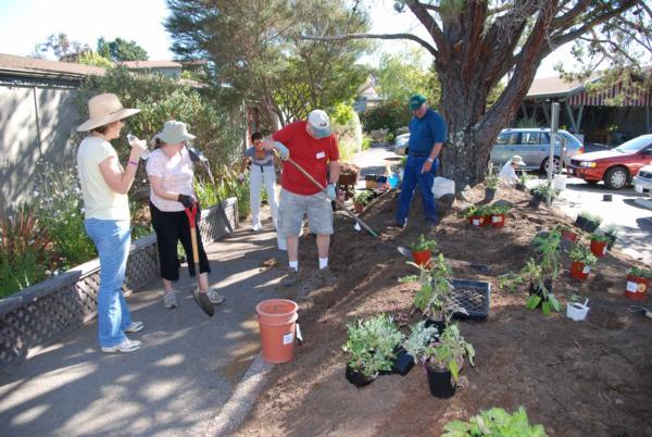 Community Outreach Projects Of Uc Marin Master Gardeners Marin
