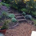 Gardening Tips - Hillside Gardening
