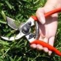 Gardening Tips - Sharpening Your Tools