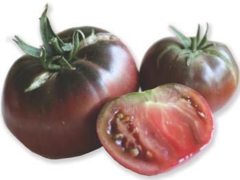 Paul Robeson heirloom tomato