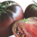 Growing in your Garden Now - Tomatoes