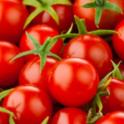 Growing in your Garden Now - Tomato Tips