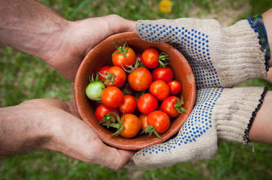 Share your bumper crop with others in the community. Photo: Elaine Casap, Unsplash