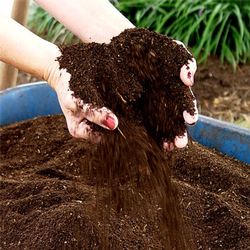 Adding compost to the garden is one of the best ways to improve soil and support plant health. Photo: Courtesy UC Regents