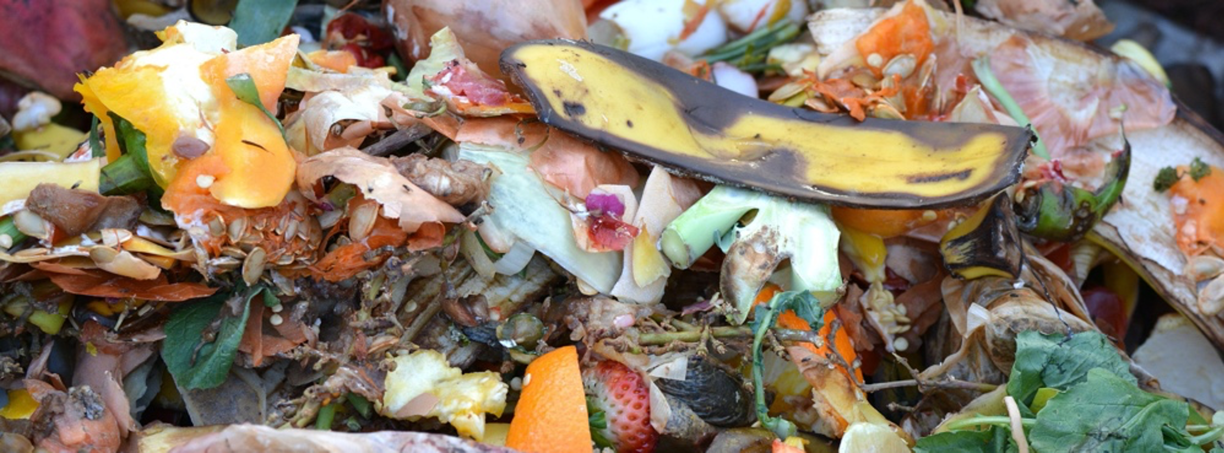 Composting kitchen scraps is good for the garden and the environment. Photo: Ben Kerckx, Pixabay