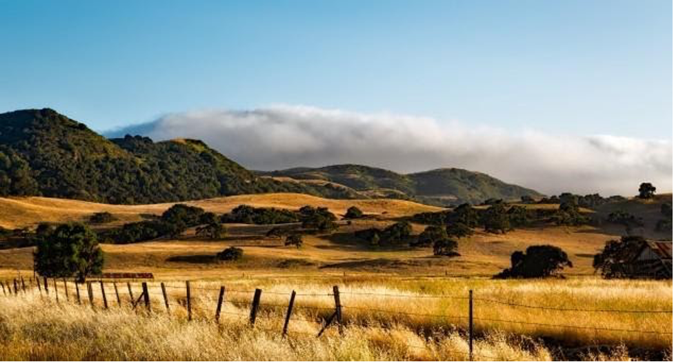 Dry summer hills and fog, typical of our Mediterranean climate. Photo: pxhere.com