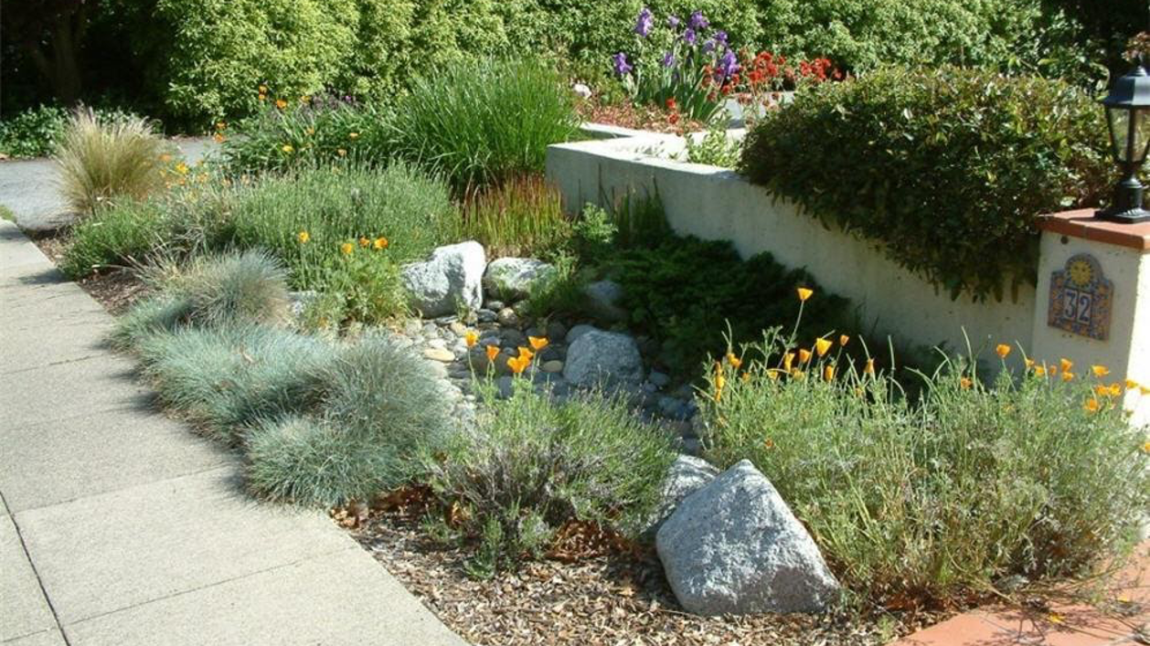 How much of the day does your garden get sun?  Did you know that concrete and stone pavers add warmth to this site?   Photo: Gardensoft