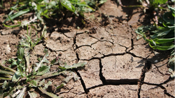 Drought can alter soil. Photo: Pxhere.com