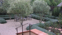 This permeable patio allows rainwater to soak into the ground. Photo: Gardensoft