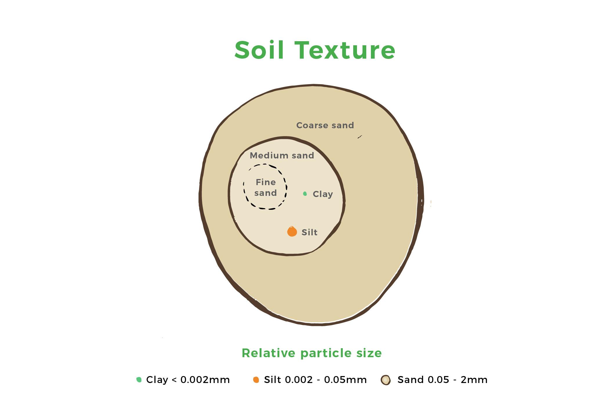 Soil texture relates to the mixture of three particle types - sand, silt and clay. GrowingObservatory.org