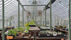 Falkirk greenhouse 1