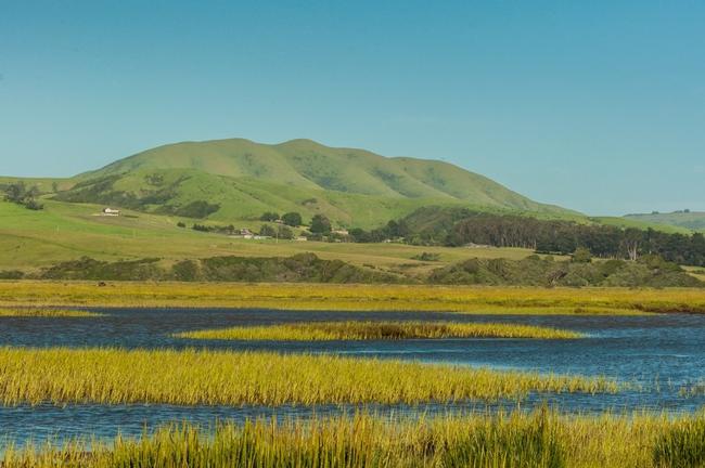 In addition to being part of the Marin County watershed, Marin's wetlands are a stunning addition to Marin's landscape. Photo: Jeffrey Gray