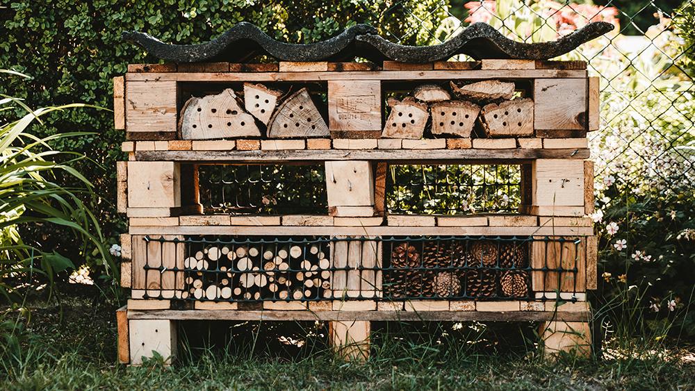 Pallets are used to construct a native bee 'hotel'. Photo: Mika Baumeister, Unsplash