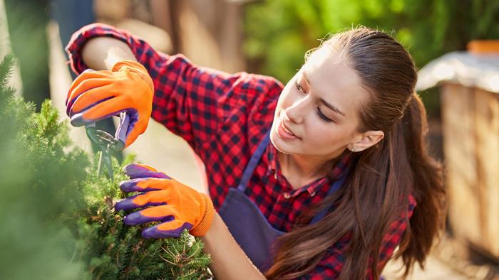girl-gardener-dressed-in-apron-is-pruning-plants-i-ELWDNF2