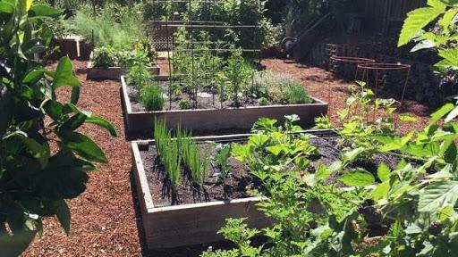 Building raised beds is work, but it offers many long-term benefits. Gael Perrin
