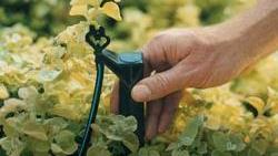 Build flexibility into your edible garden's irrigation system. Photo: Courtesy UC Regents