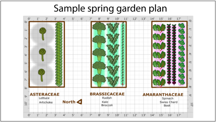 sample-garden-plan-spring
