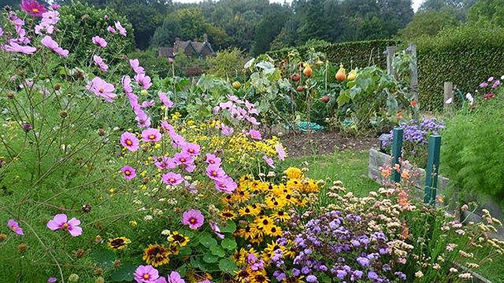 Mix flowering plants into your vegetable garden to invite pollinators and other beneficial insects. Creative Commons