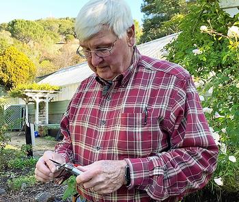 Keep your pruners sharp for cleaner cuts and less work for your hands. Photo Credit: UC Marin Master Gardeners