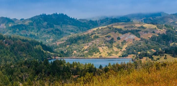 Protect Marin's precious watershed by avoiding pesticides and chemical fertilizers. Photo: Karen Gideon