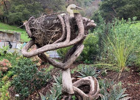 For ideas, visit the Serenity Garden at Falkirk in San Rafael. Here a juniper was removed and repurposed as sculpture. Photo: Alice Cason